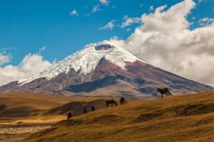 Cotopaxi nationaal park in Ecuador