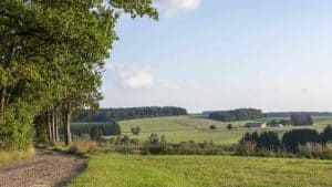 Het weer in Vlaamse Ardennen, België in december 2020