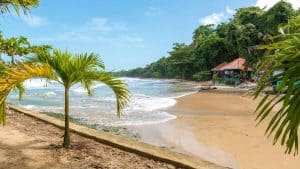 Het weer in Cahuita, Costa Rica in januari 2024