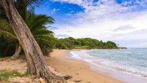 Het klimaat van Deshaies, Guadeloupe