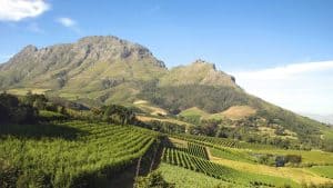 Het weer in Franschhoek, Zuid-Afrika in januari 2017