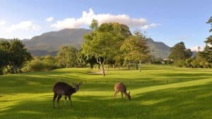 Het weer in George, Zuid-Afrika in januari 2026