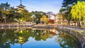 Het weer in Nara, Japan in februari 2020