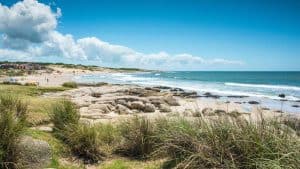 Het weer in Rocha, Uruguay in juni 2020