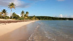 Het klimaat van Vieques, Puerto Rico