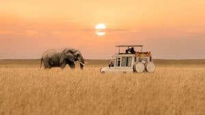 Het weer in Masai Mara National Reserve, Kenia in oktober 2023