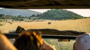 Het weer in Pilanesberg National Park, Zuid-Afrika in april 2018