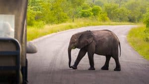 Het weer in Selous Game Reserve, Tanzania in oktober 2019