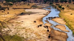 Het weer in Tarangire National Park, Tanzania in december 2018