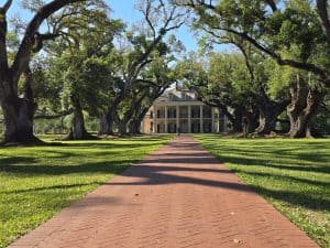 Eikenbomenlaan van de Oak Alley Plantage in Louisiana, Verenigde Staten