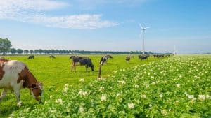 Het weer in Flevoland, Nederland in april 2020