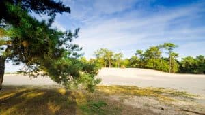 Het weer in Noord-Brabant, Nederland in september 2021